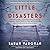 Little Disasters: A Novel