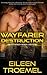 Wayfarer Destruction (Wayfarers)