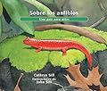Sobre los anfibios: Una guía para niños (Libro educativo de ciencia para el aprendizaje STEM) (About. . .)