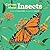 Curious About Insects