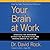 Your Brain at Work: Strategies for Overcoming Distraction, Regaining Focus, and Working Smarter All Day Long