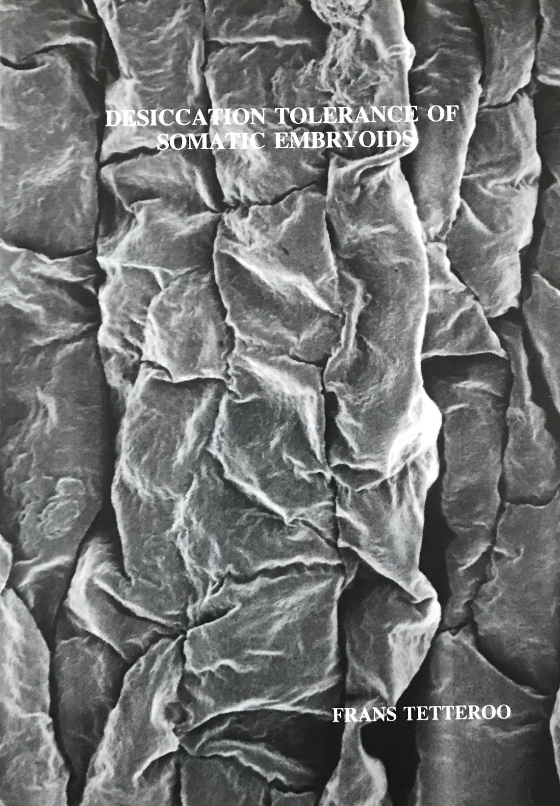 Dessication Tolerance of Somatic Embryoids