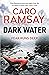 Dark Water (Anderson and Costello #3)