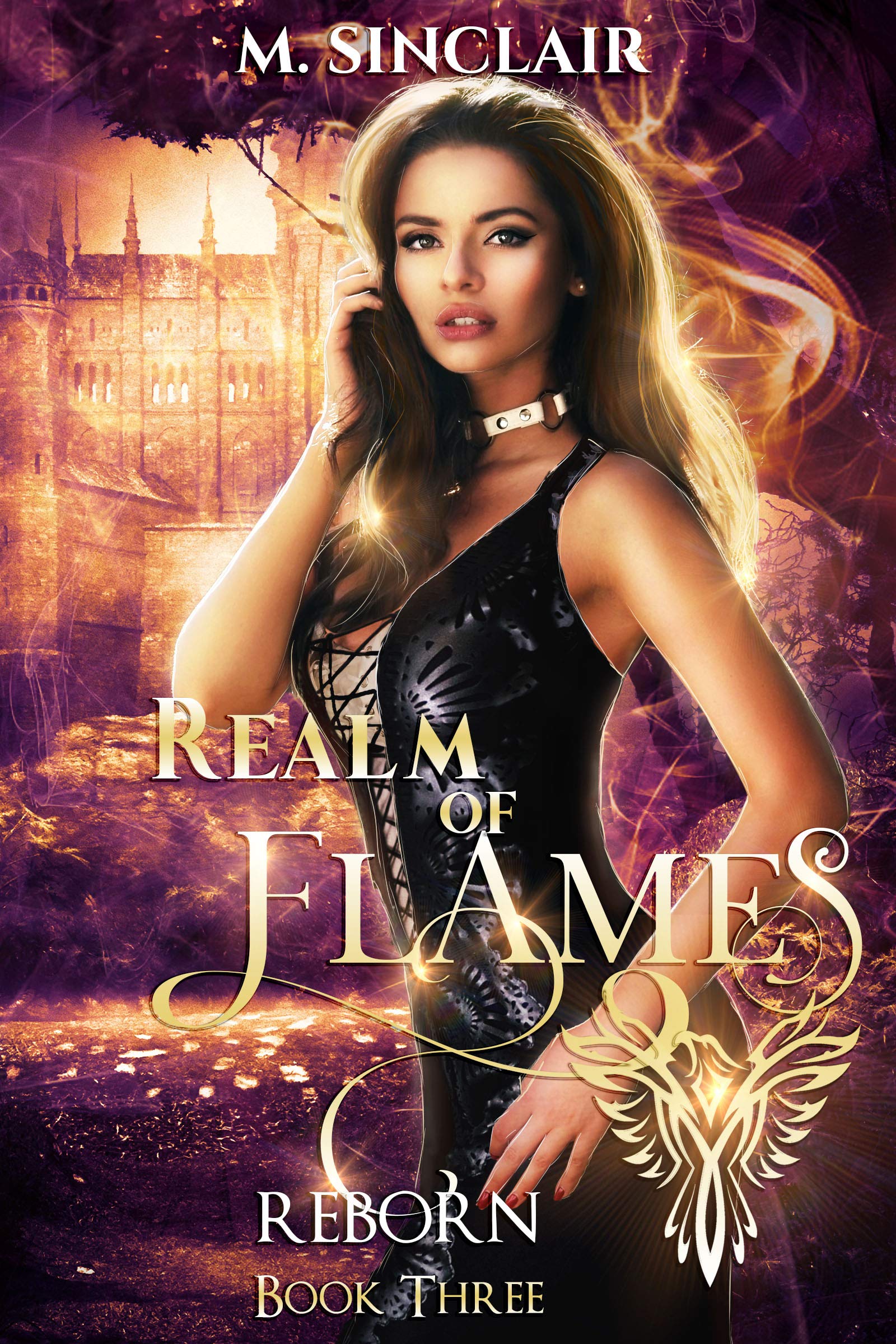 Realm of Flames (Reborn #3)