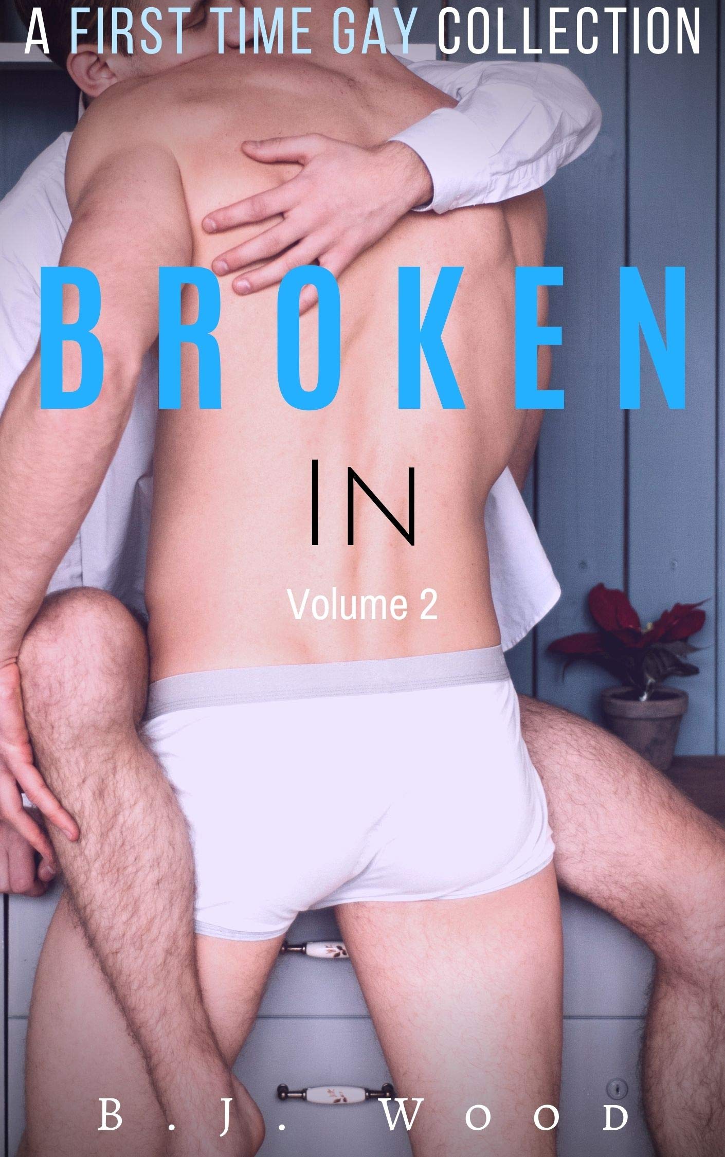 Broken In Volume 2 (Kindle Edition)