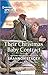 Their Christmas Baby Contract (Blackberry Bay #2)