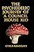 The psychedelic journey of ...