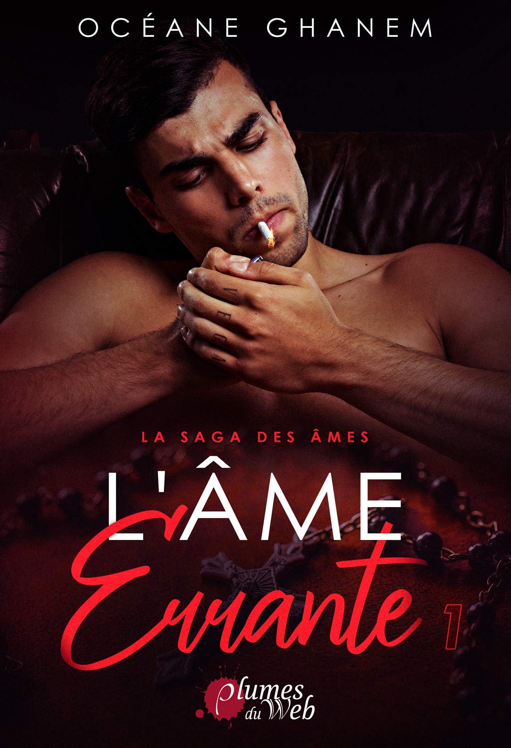 L'âme errante 1 (La saga des âmes, #3)