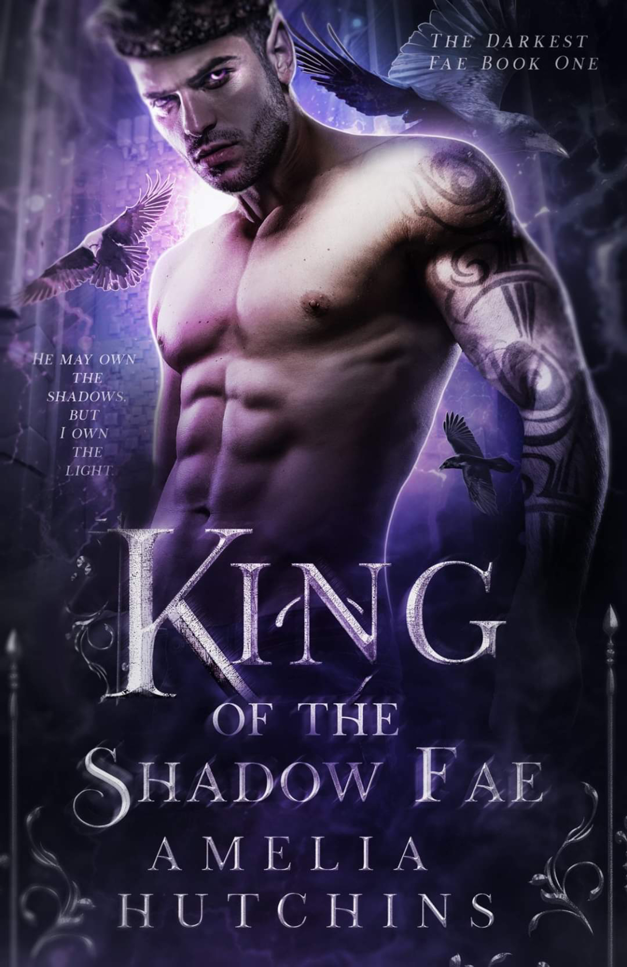 King of the Shadow Fae (The Darkest Fae, #1)