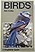 Birds (Kingfisher Guides)