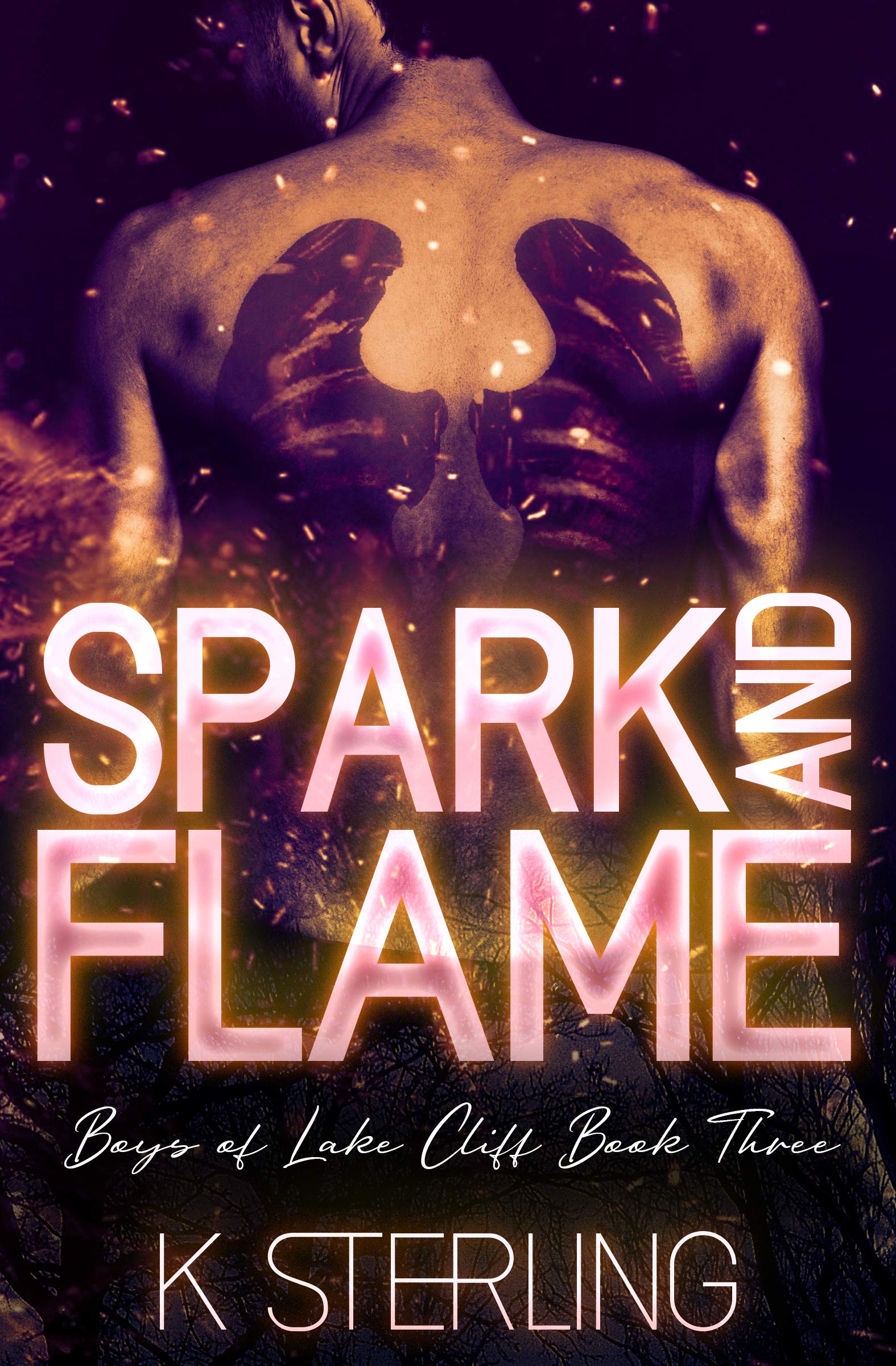 Spark and Flame (Boys of Lake Cliff #3)