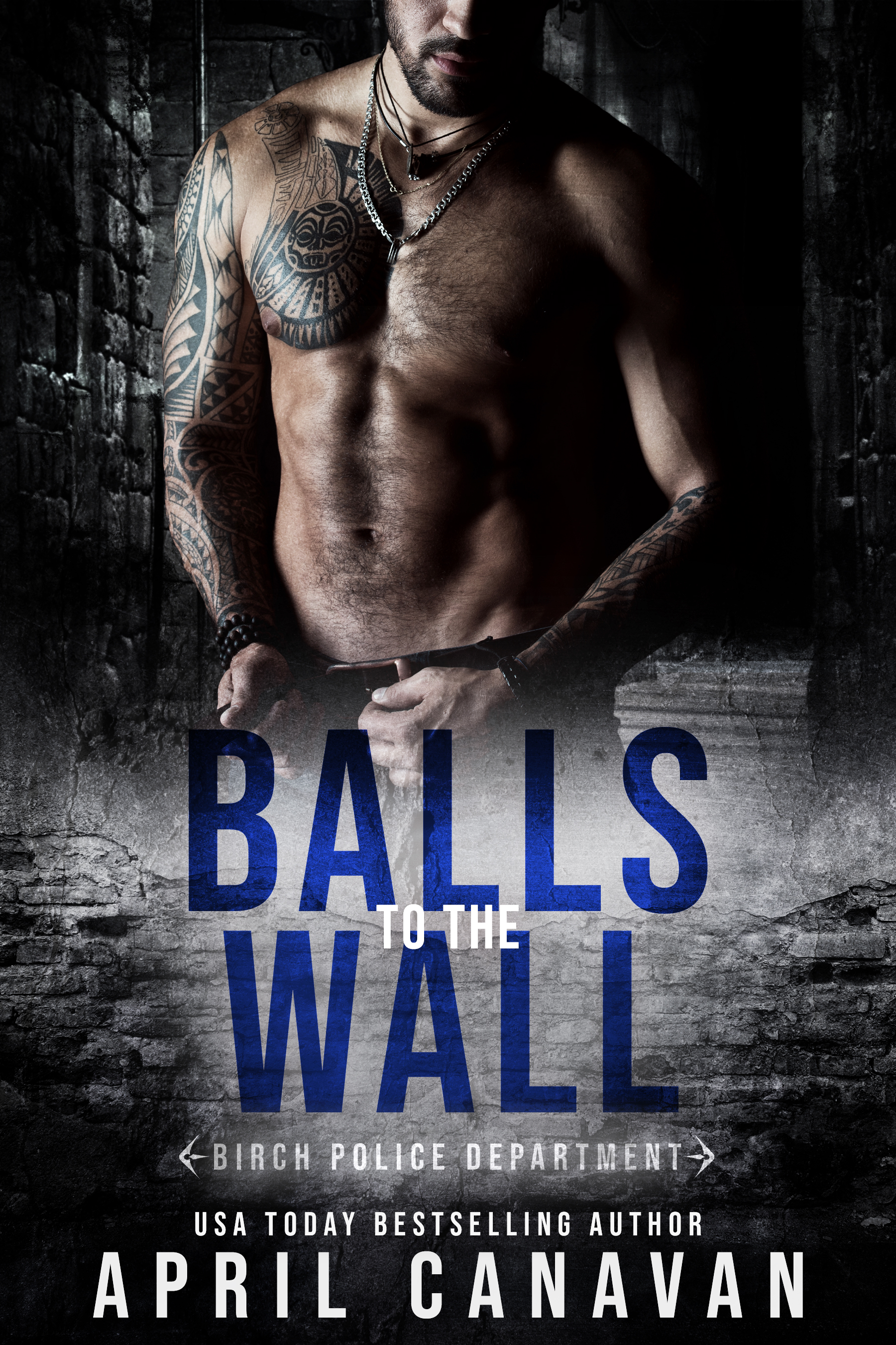 Balls to the Wall (Birch Police Department, #1)