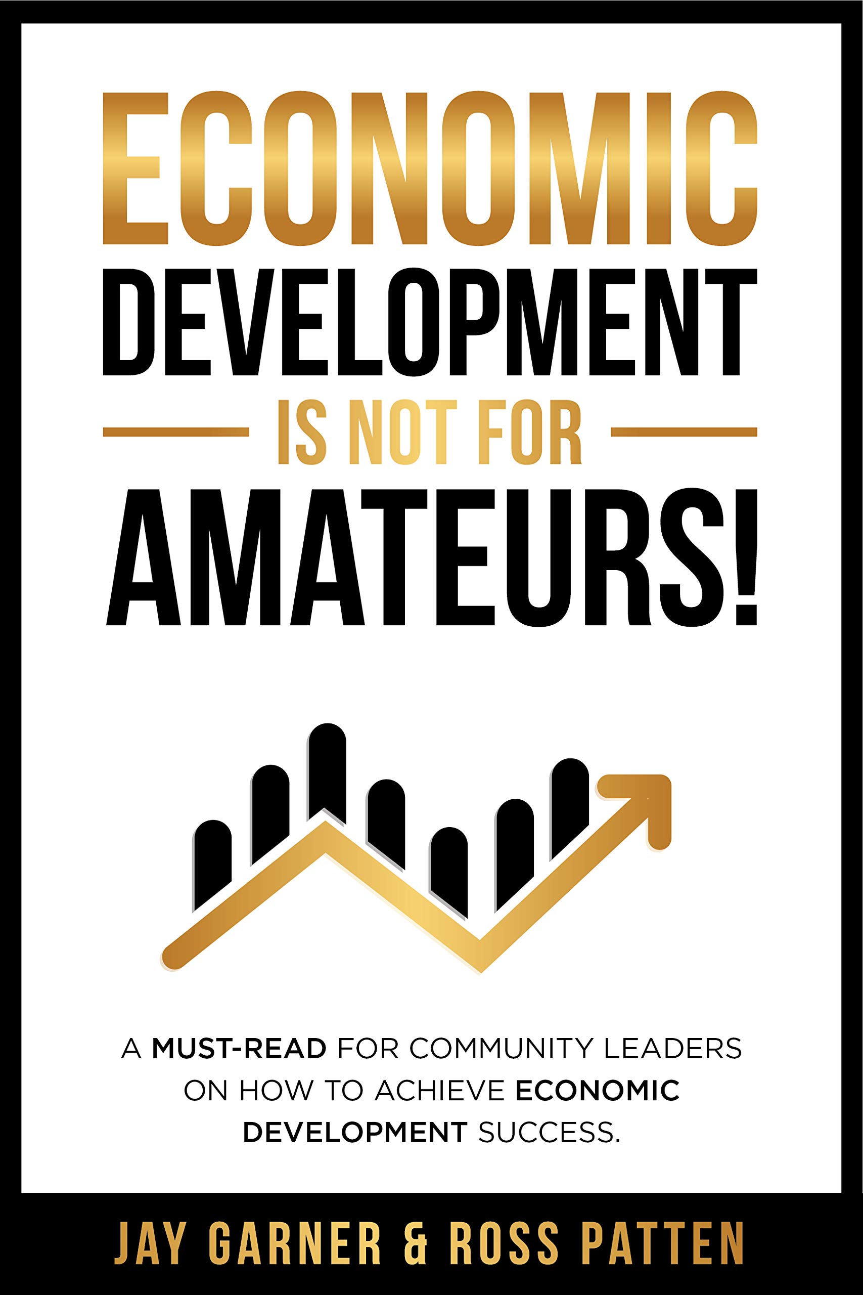 Economic Development Is [STILL] Not for Amateurs!: A must-read for community leaders on how to achieve economic development success (Kindle Edition)