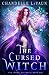 The Cursed Witch by Chandelle LaVaun