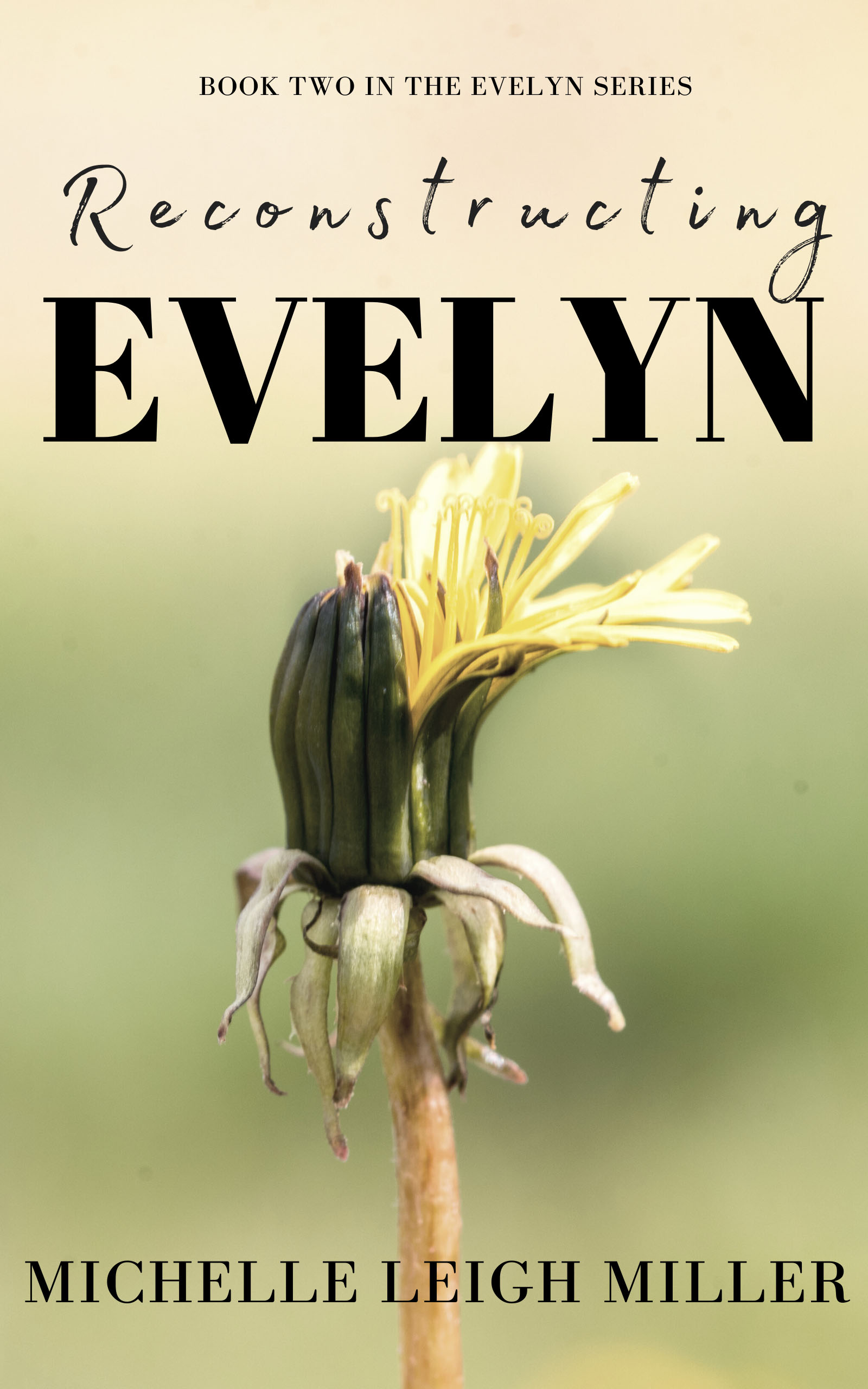 Reconstructing Evelyn (The Evelyn Series Book 2)
