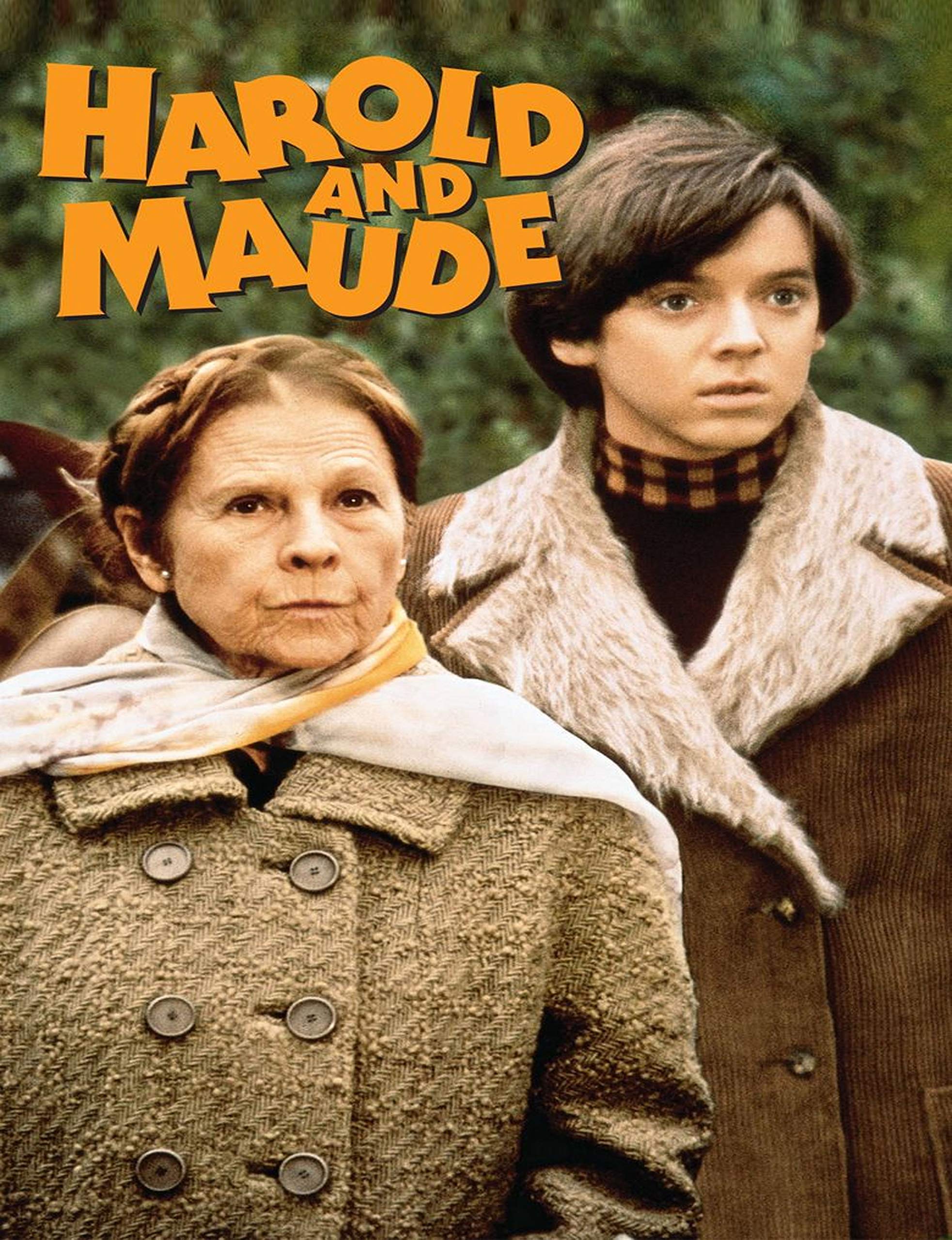 Harold and Maude: Screenplay