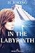 In the labyrinth