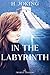 In the labyrinth by H. Joking