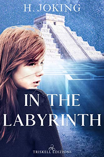 In the labyrinth (Kindle Edition)