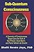 Sub-Quantum Consciousness: A Geometry of Consciousness Based Upon the Work of Karl Pribram, David Bohm, and Pierre Teilhard De Chardin