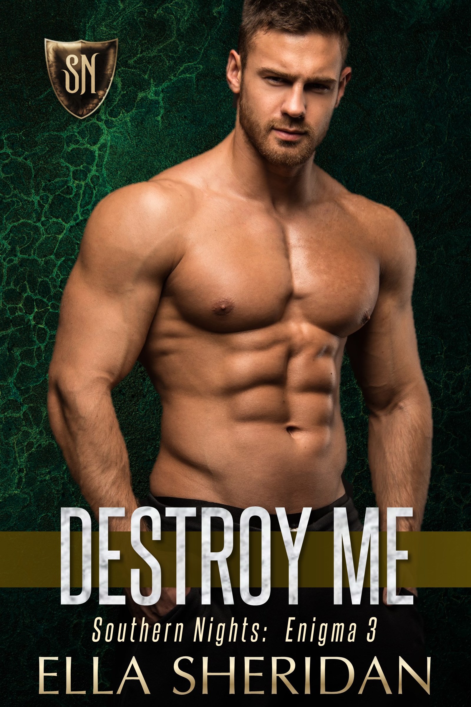 Destroy Me (Southern Nights: Enigma, #3)