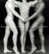 Robert Mapplethorpe And The Classical Tradition Robert Mapplethorpe And The Classical Tradition