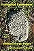 Ecological Economics: Solut...