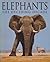 Elephants: The Deciding Decade