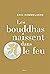 Les Bouddhas naissent dans le feu by Eric Rommeluère
