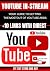 You Tube In- Stream ads 101 by Texy Store