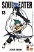 Soul Eater Vol 13
