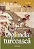 Oglinda turceasca