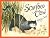 Scarface Claw by Lynley Dodd Scarface Claw by Lynley Dodd
