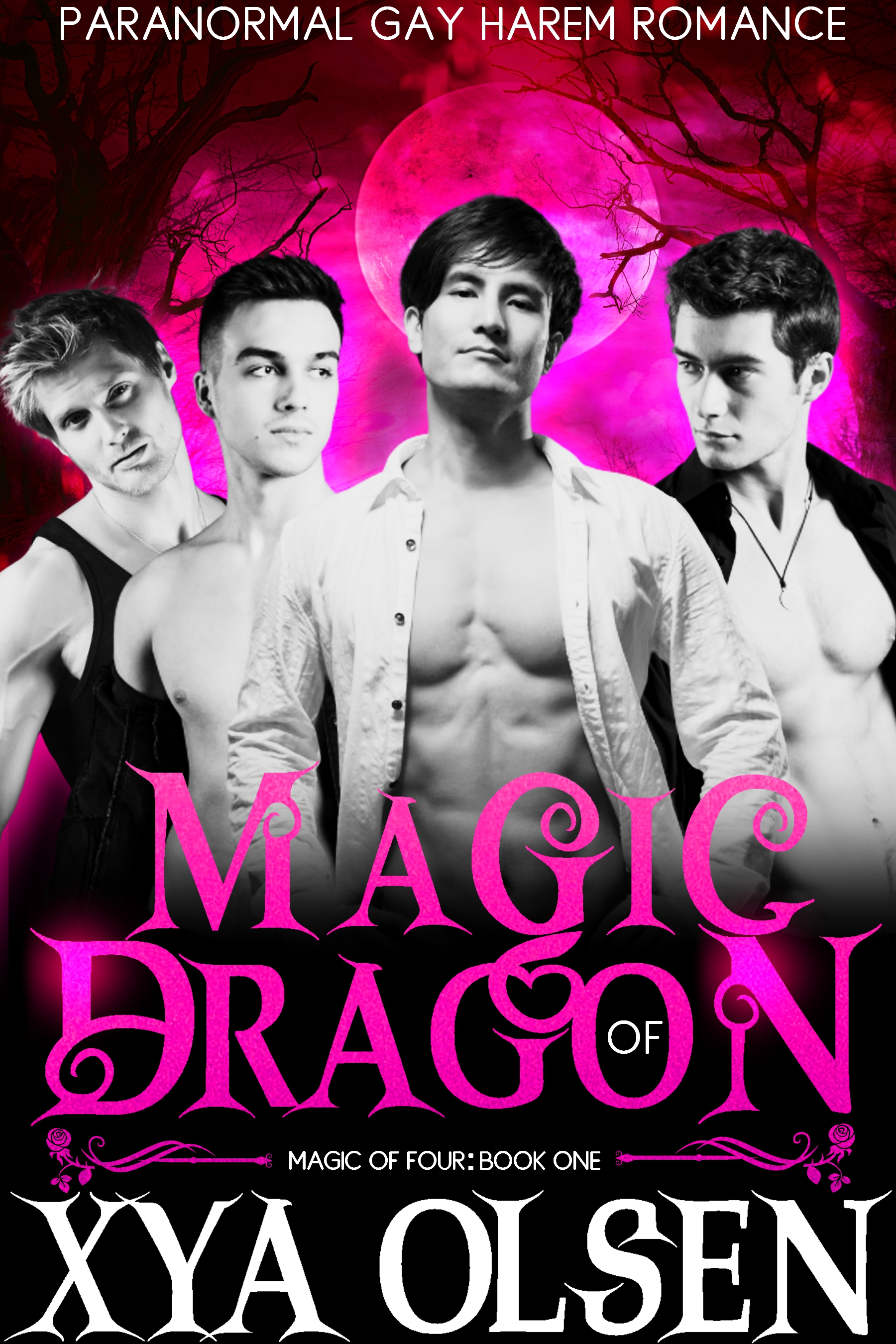 Magic of Dragon (Magic of Four #1)