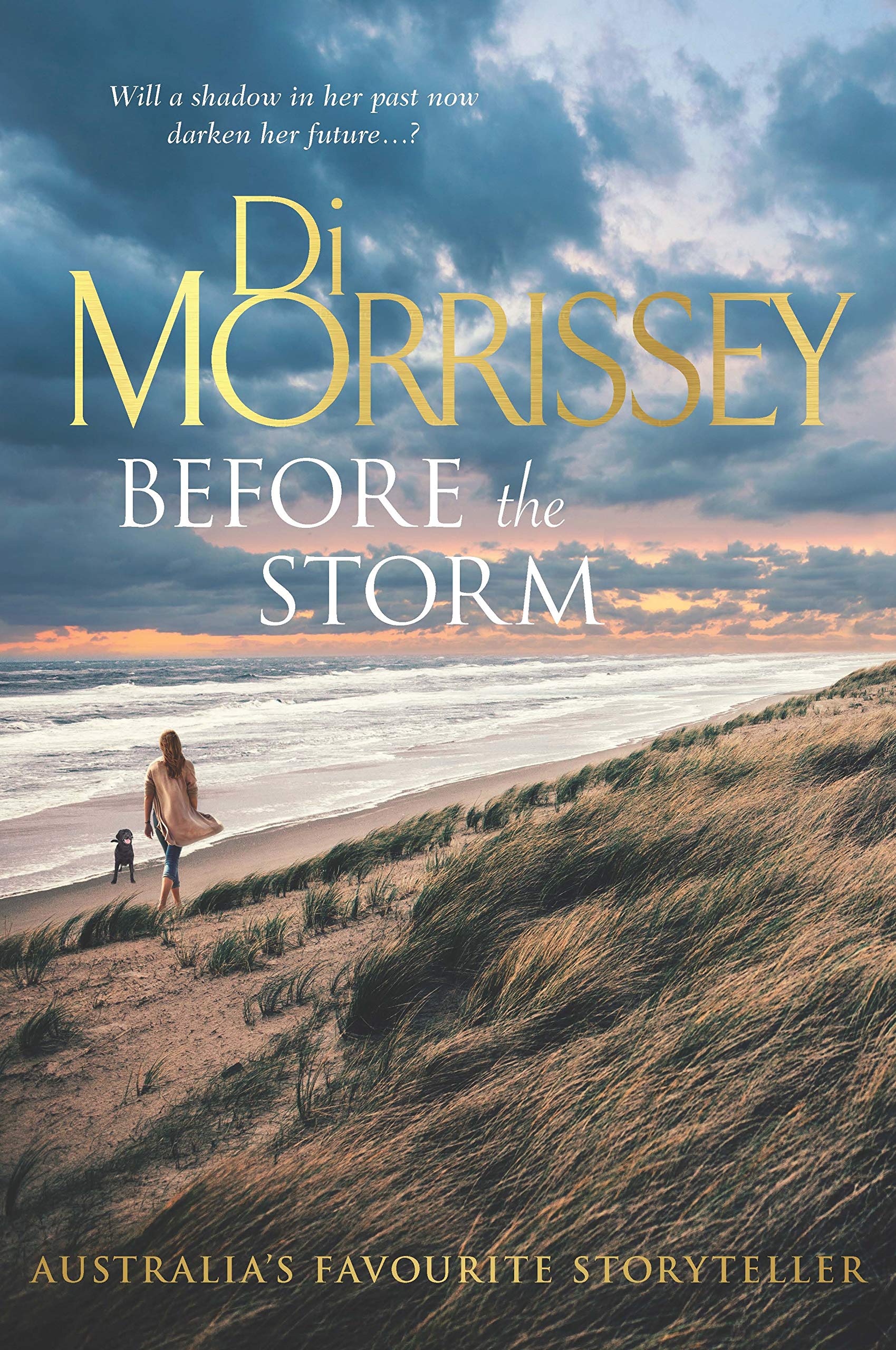 Before the Storm (Kindle Edition)