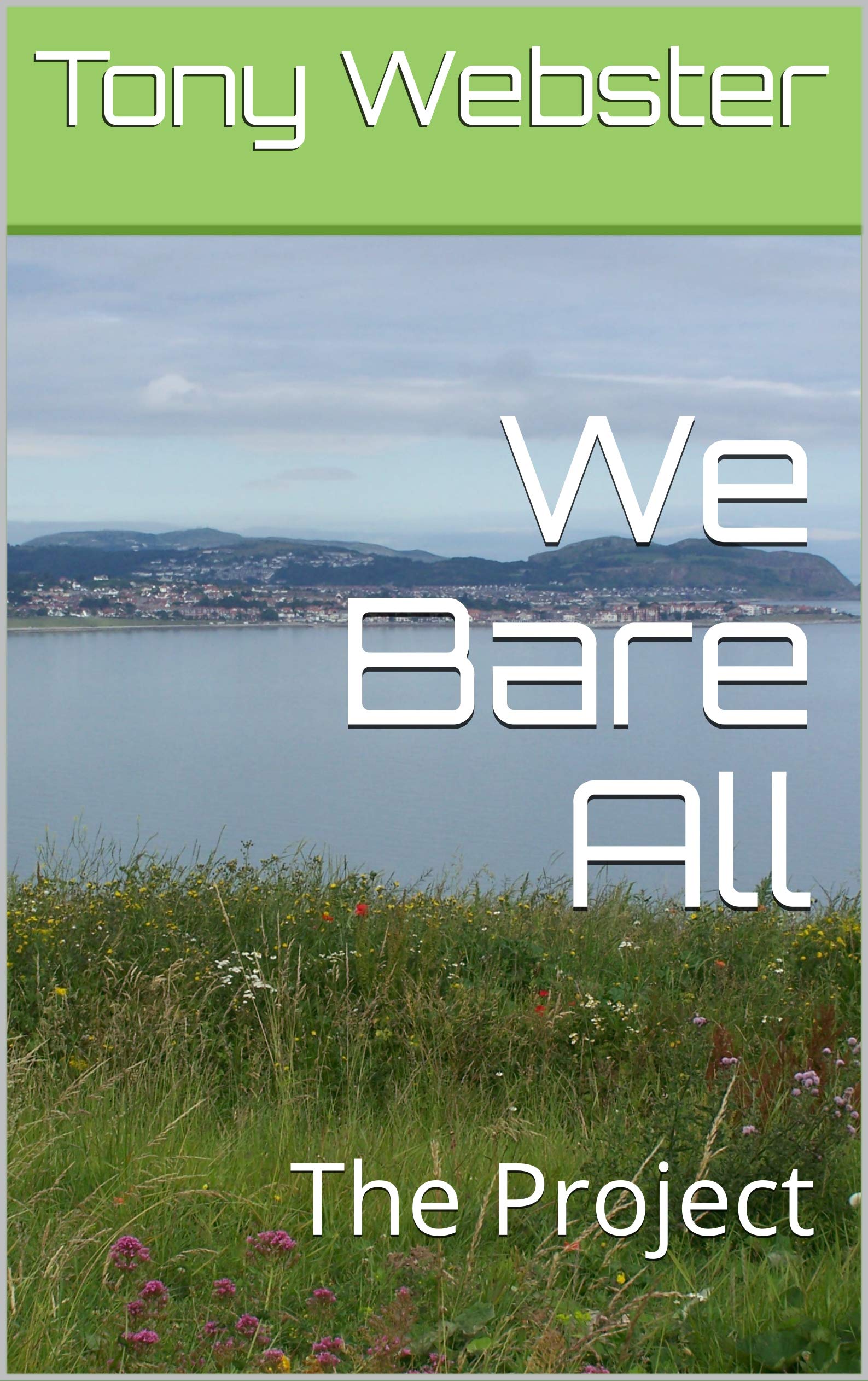 We Bare All: The Project (Kindle Edition)