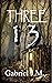 Three 13 (Three 13 Trilogy, #2)