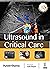 Ultrasound in Critical Care