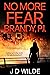 NO MORE FEAR - BRANDY, P.I. A suspenseful mystery thriller by J D Wilde