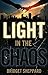 Light in the Chaos by Bridget Sheppard