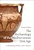 The Archaeology of the Medi...