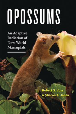 Opossums: An Adaptive Radiation of New World Marsupials (Hardcover)