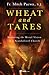 Wheat and Tares by Fr. Mitch Pacwa