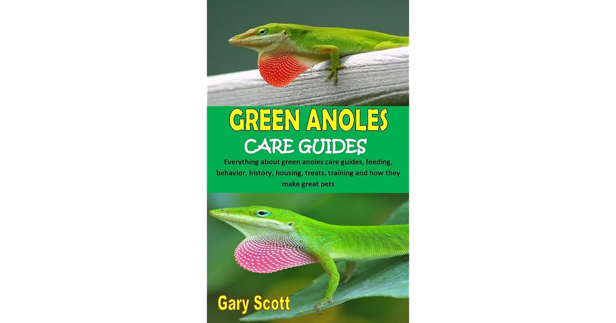 GREEN ANOLES CARE GUIDES Everything about green anoles care guides