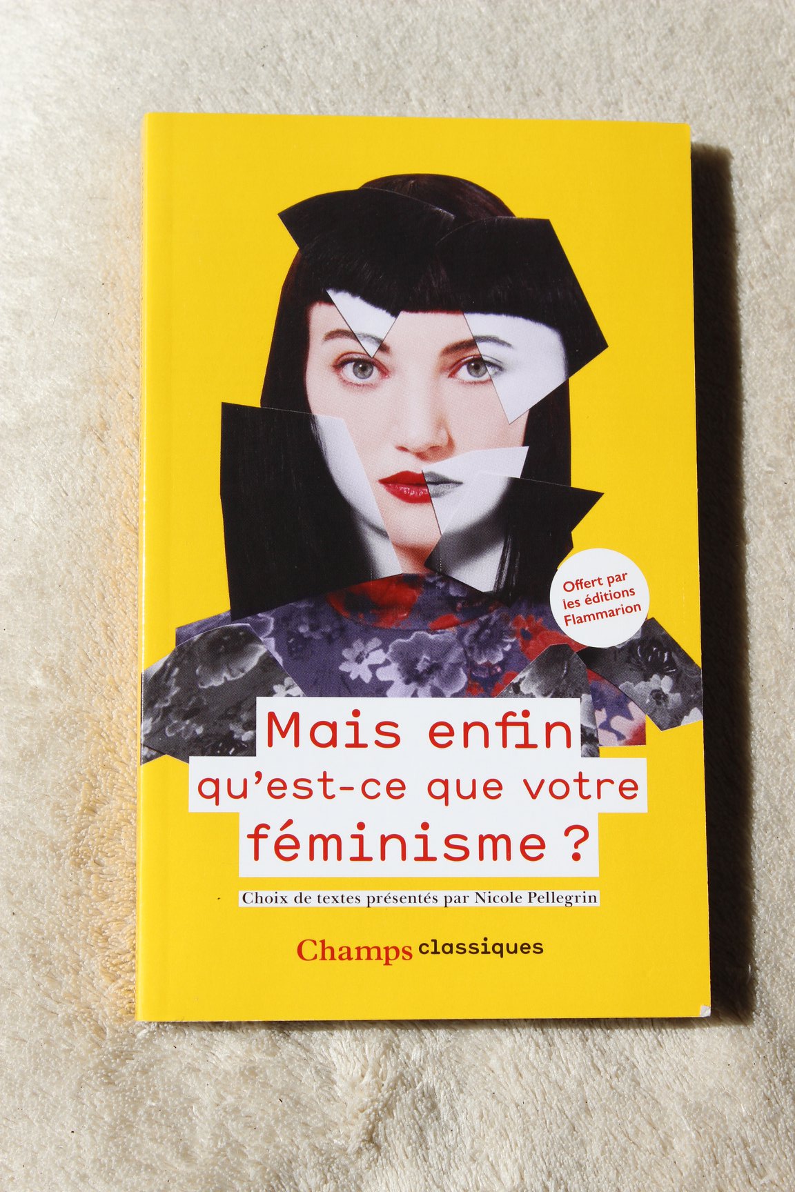 Mais enfin qu'est ce que votre féminisme ?