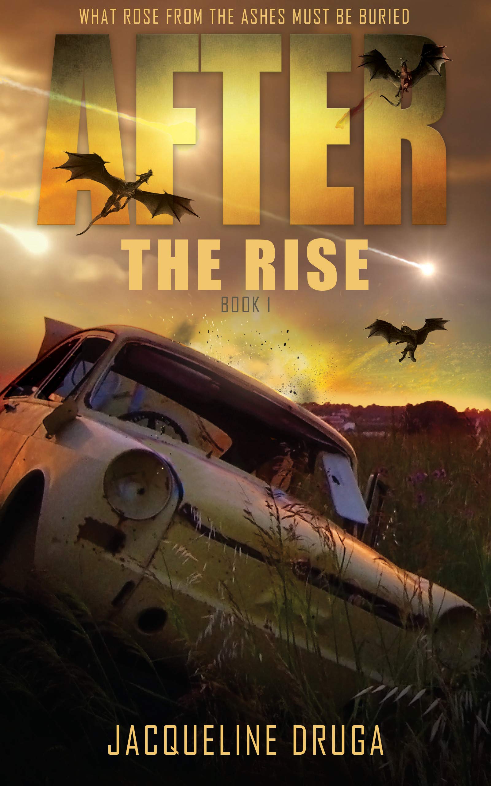 After The Rise: Book One (Rise Series 4)