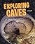 Exploring Caves: Leveled Re...