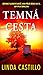 Temná cesta (Kate Burkholder, #9)