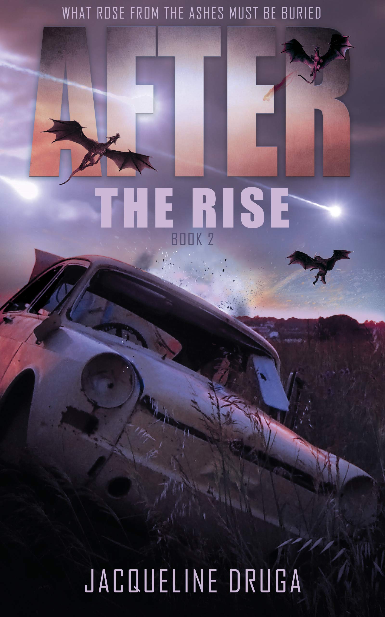 After the Rise: Book Two (Rise Series 5)