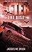 After the Rise by Jacqueline Druga After the Rise by Jacqueline Druga